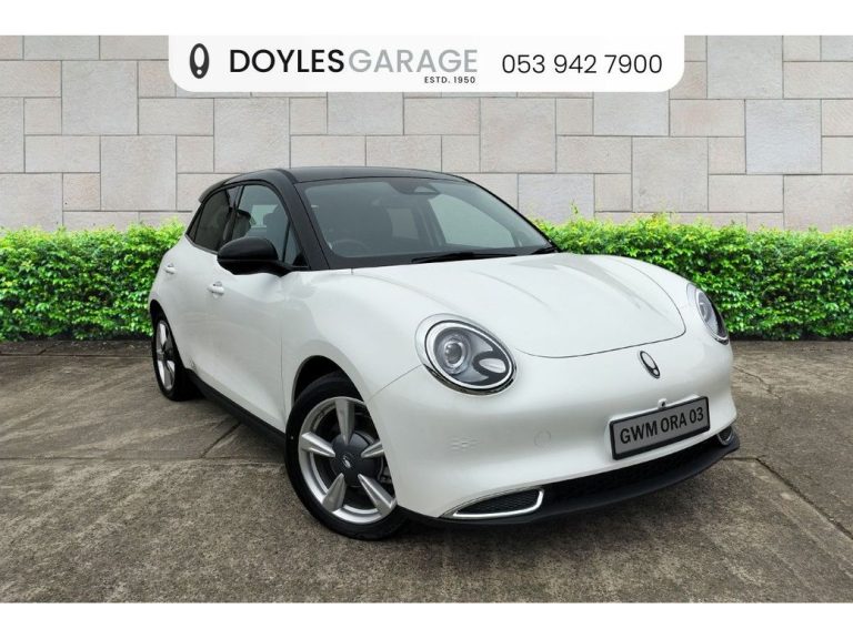photo of a used GWM Ora 03 for sale Wexford  by Doyles Garage