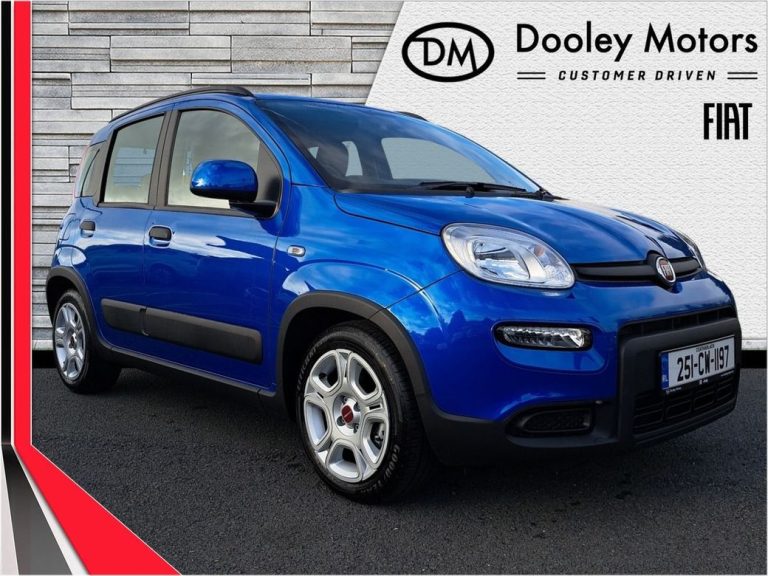 photo of a used Fiat Panda for sale Carlow  by Dooley Motors