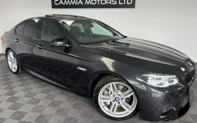 2013 BMW 5 Series