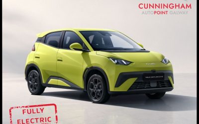 2026 BYD Dolphin Surf