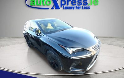 2020 Lexus NX 300h