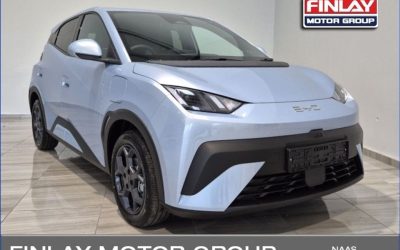 2026 BYD Dolphin Surf