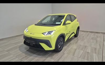 2026 BYD Dolphin Surf