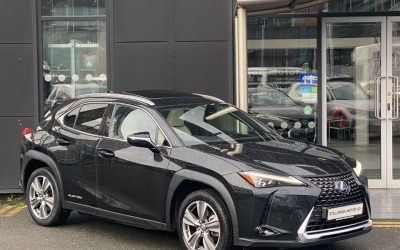 2021 Lexus UX 300e