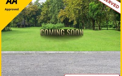 2015 Volkswagen Polo