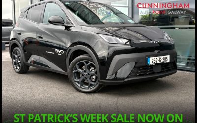 2025 BYD Dolphin Surf