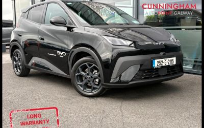 2025 BYD Dolphin Surf