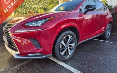 2020 Lexus NX 300h