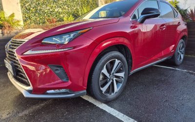2020 Lexus NX
